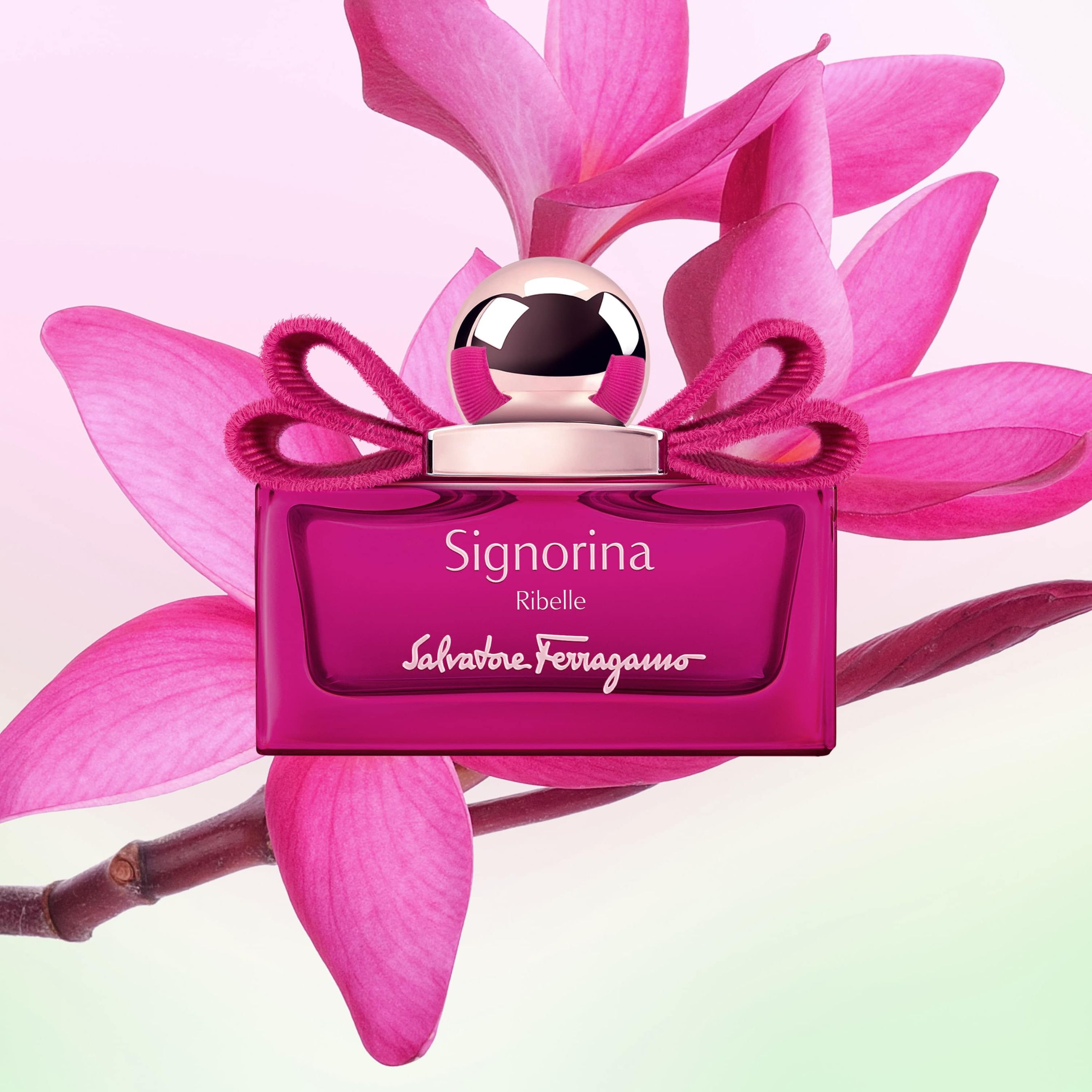 Salvatore Ferragamo nước hoa Salvatore Ferragamo AH Perfumes nước hoa AH Perfumes 3 Cùng Salvatore Ferragamo kể câu chuyện của riêng mình