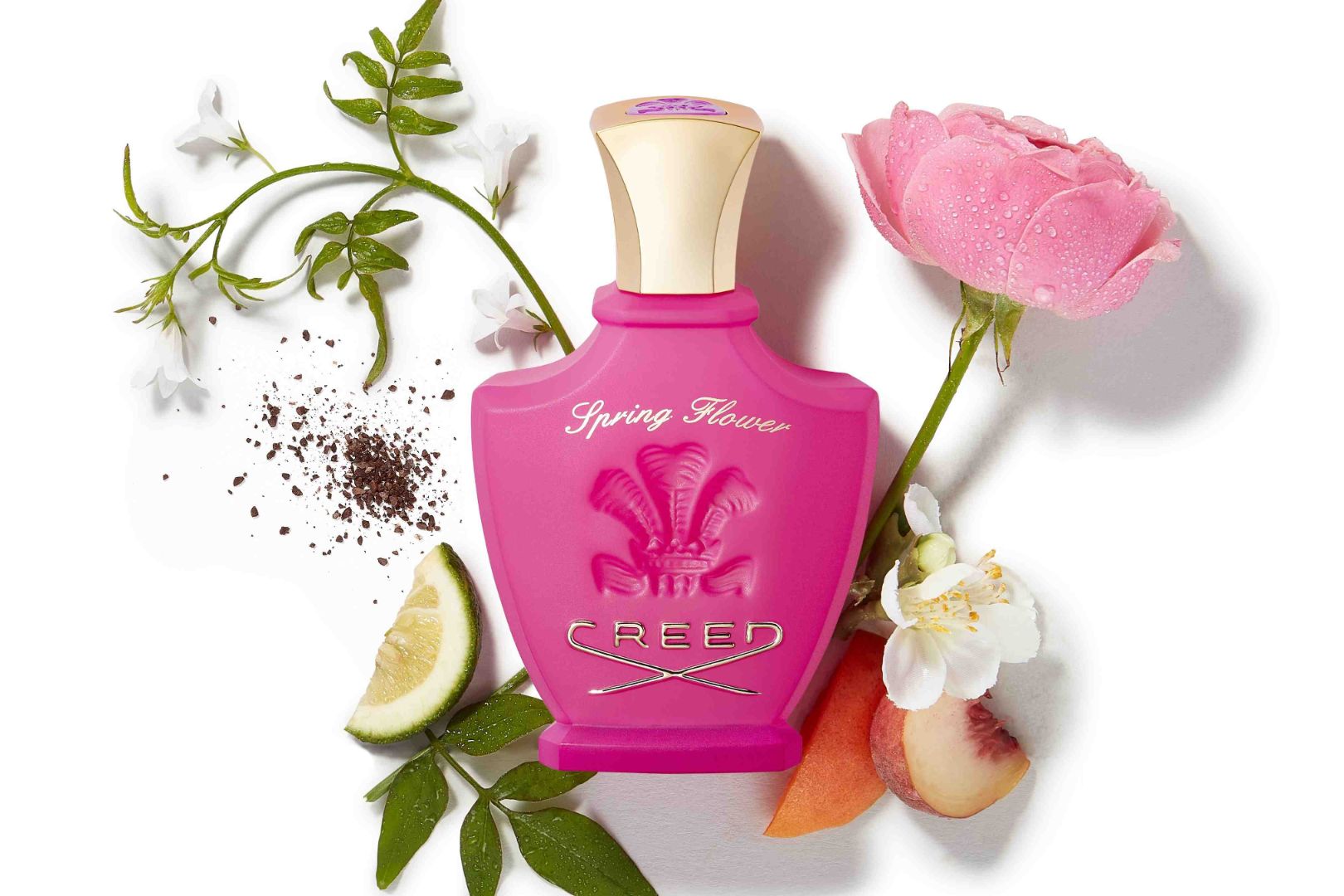 nước hoa Creed AH Perfumes nước hoa AH Perfumes 1 2 Khám phá một số dòng nước hoa không thể bỏ lỡ đến từ House Of Creed