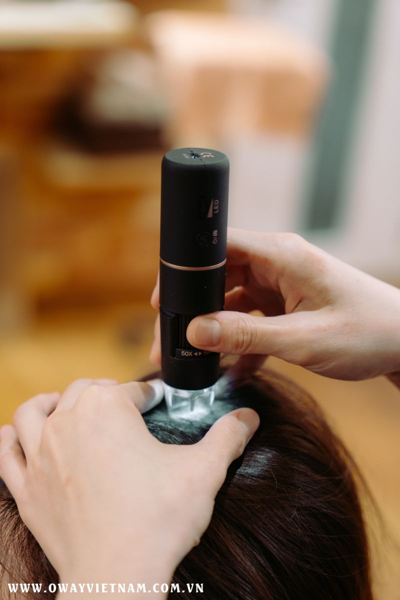 dau goi Oway 3 Chăm sóc tóc từ mỹ phẩm organic: Xu hướng của tương lai 