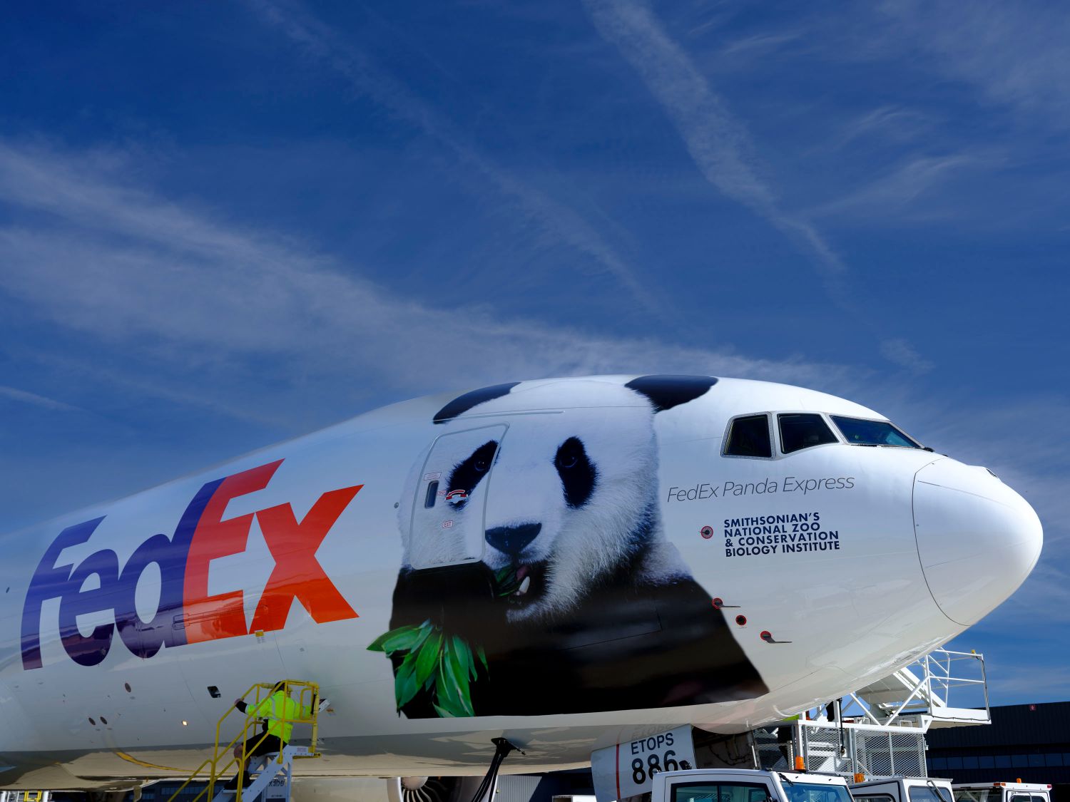 Gia đình gấu trúc Mỹ Hương Thiêm Thiêm và Tiểu Kỳ Tích 2 Gia đình gấu trúc Mỹ Hương, Thiêm Thiêm và Tiểu Kỳ Tích trở về Trung Quốc trên chuyến bay riêng FedEx Panda Express