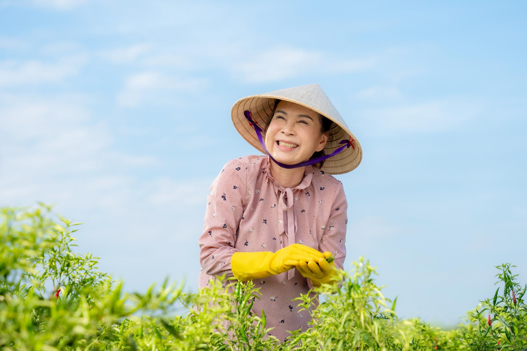 kim xuan phi hung 2 Kim Xuân, Nguyễn Phi Hùng và ý nghĩa bữa cơm gia đình