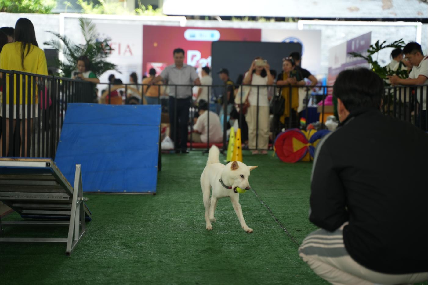 Copy of DSC05115 1 Tháng sức khỏe thú cưng: Super Pet Fest mang đến những trải nghiệm tuyệt vời