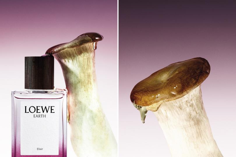 LOEWE giới thiệu hai sáng tạo nước hoa Elixir mới LOEWE 5 LOEWE giới thiệu hai sáng tạo nước hoa Elixir mới
