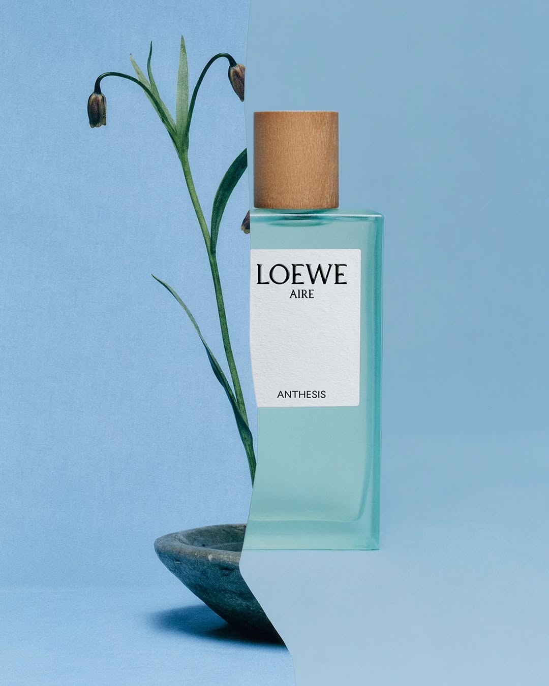 1.5 Khám Phá Thế Giới Hương Thơm Tinh Tế Của LOEWE – Khi Mỗi Mùi Hương Là Một Câu Chuyện 