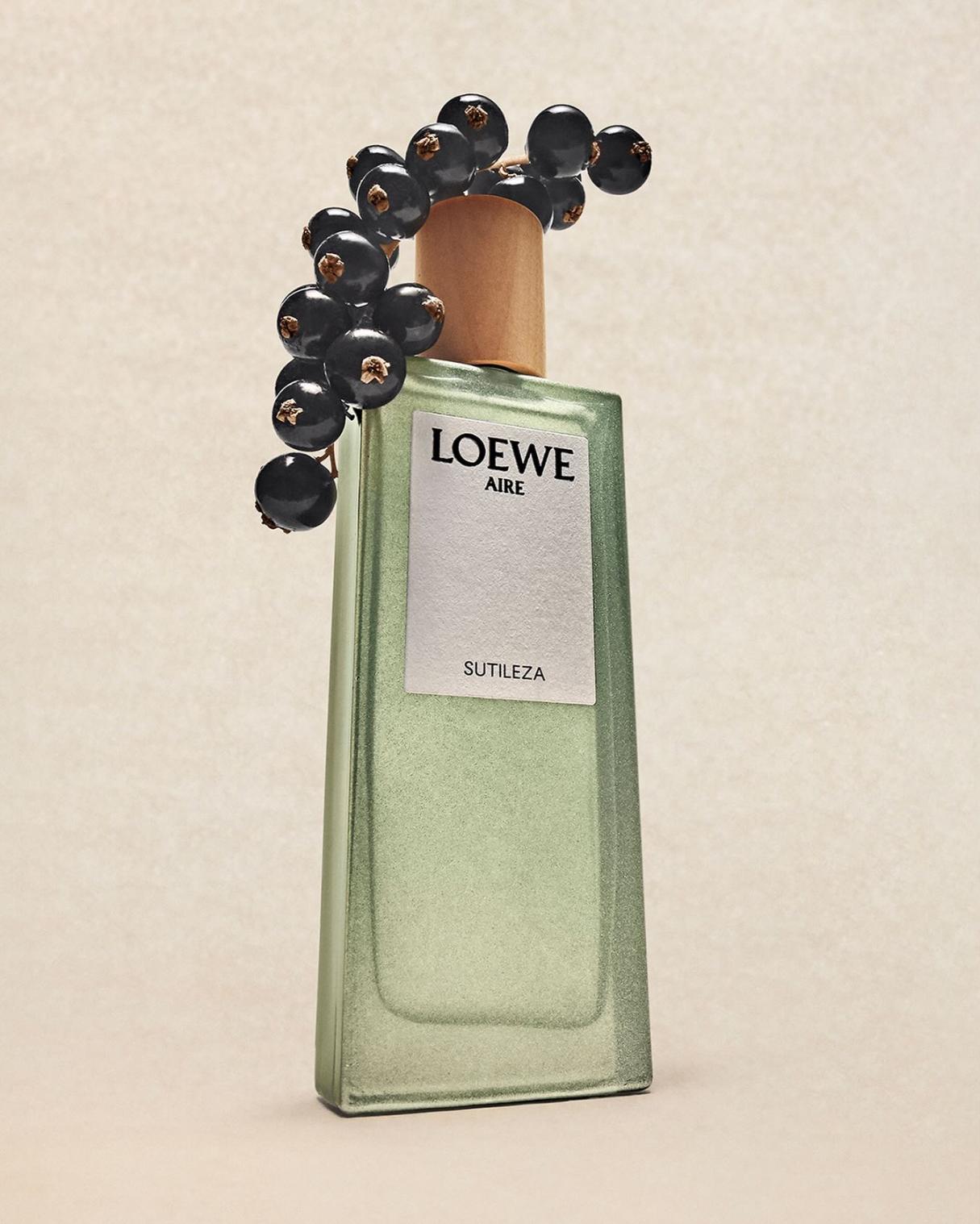 Khám Phá Những Mùi Hương Lý Tưởng Cho Mùa Hè Cùng LOEWE 2 5 Khám Phá Những Mùi Hương Lý Tưởng Cho Mùa Hè Cùng LOEWE