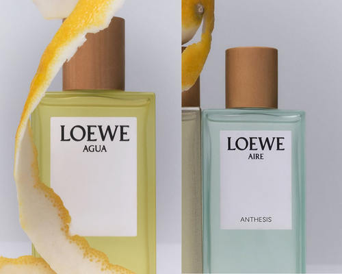 Khám Phá LOEWE Aire Anthesis: Vẻ Đẹp Nhẹ Nhàng Trong Mỗi Lớp Hương 2 Khám Phá LOEWE Aire Anthesis: Vẻ Đẹp Nhẹ Nhàng Trong Mỗi Lớp Hương
