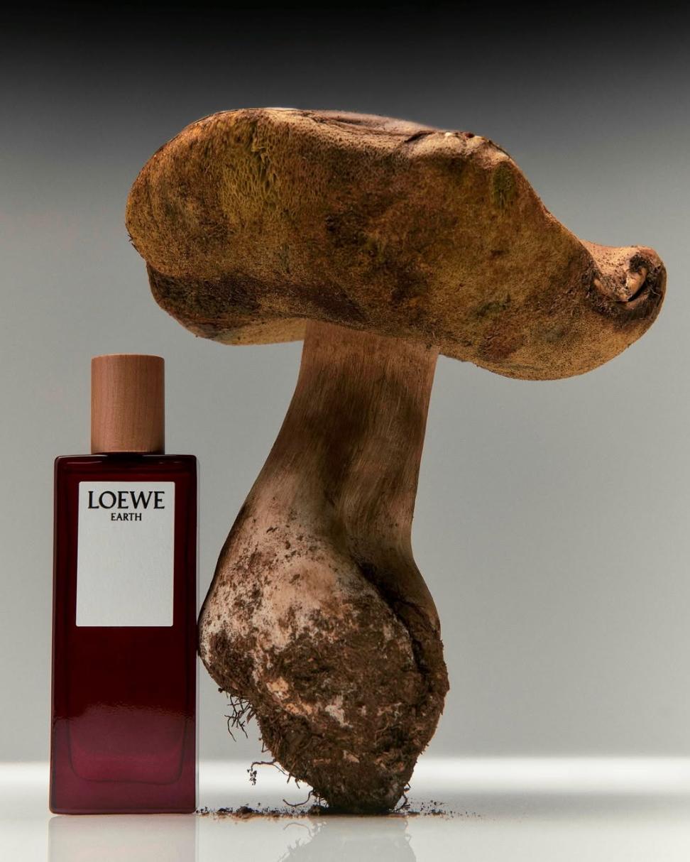 Khám Phá LOEWE Aire Anthesis: Vẻ Đẹp Nhẹ Nhàng Trong Mỗi Lớp Hương 3 8 Khám Phá LOEWE Aire Anthesis: Vẻ Đẹp Nhẹ Nhàng Trong Mỗi Lớp Hương