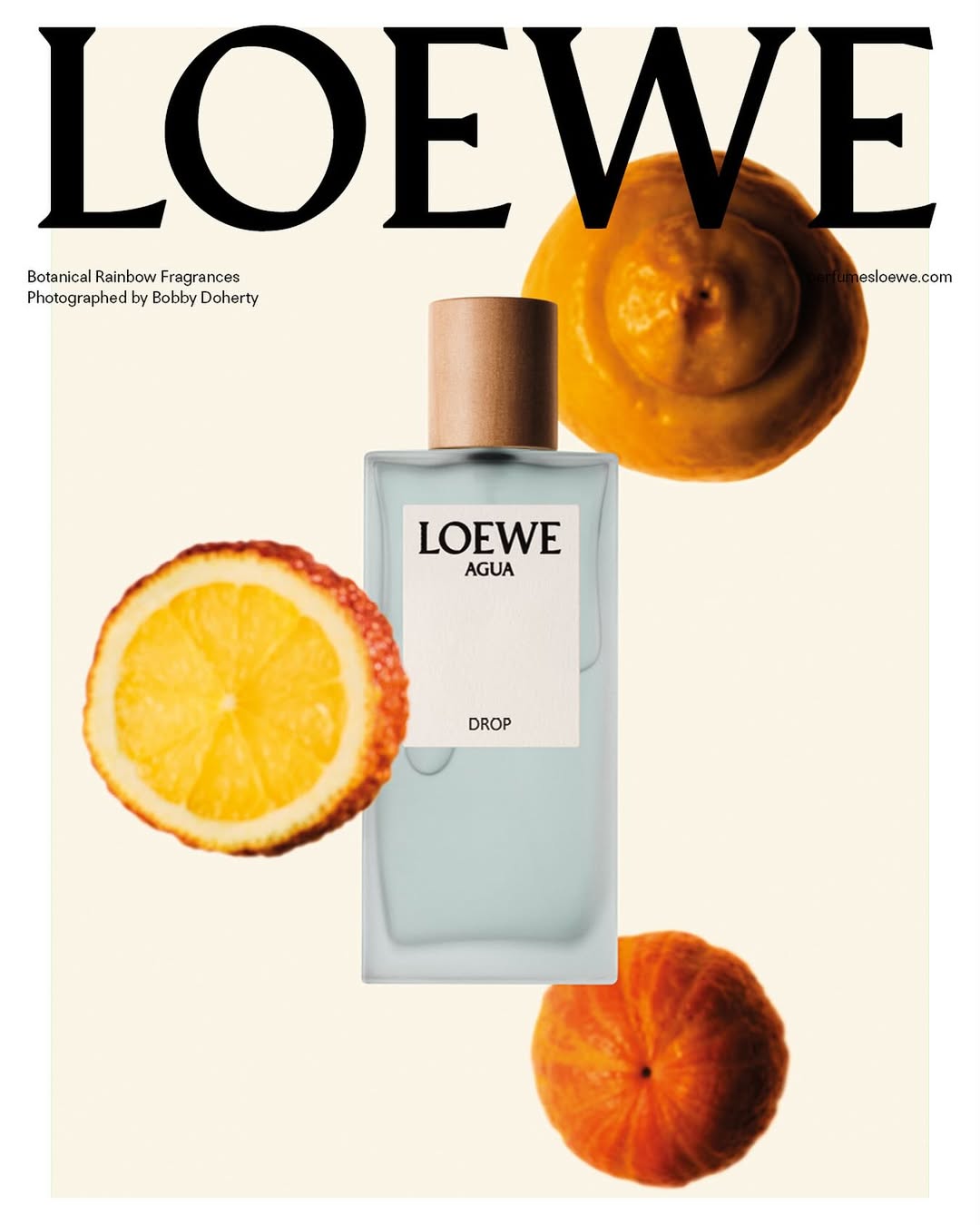 LOEWE Botanical Rainbow: Dải Hương Sắc Gợi Nhớ Một Cuộc Dạo Chơi Giữa Thiên Nhiên 4 2 LOEWE Botanical Rainbow: Dải Hương Sắc Gợi Nhớ Một Cuộc Dạo Chơi Giữa Thiên Nhiên