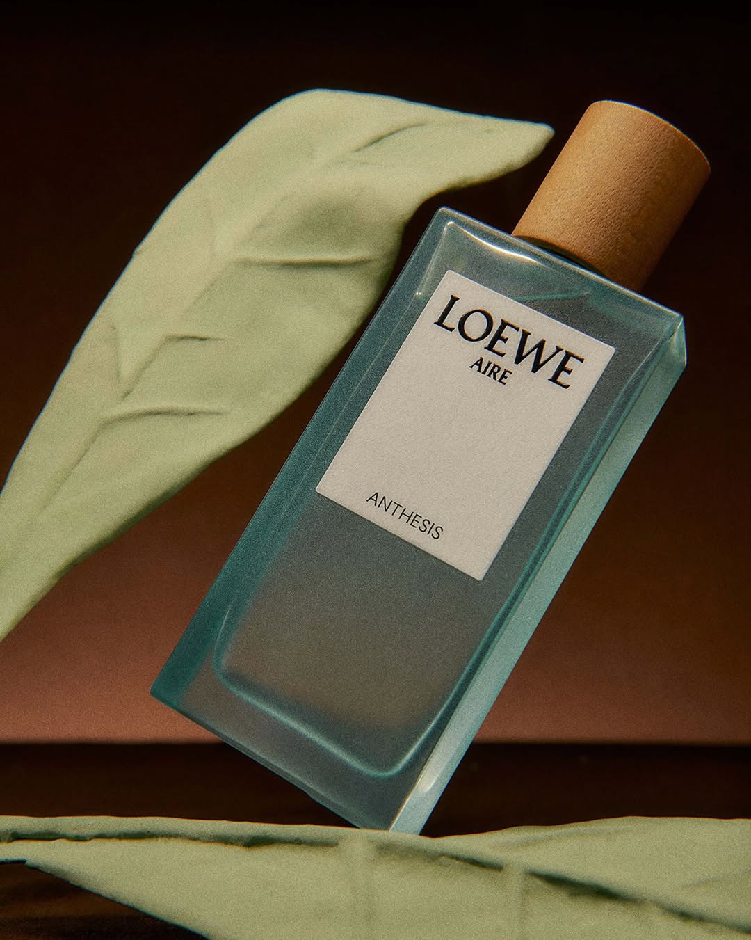 LOEWE Botanical Rainbow: Dải Hương Sắc Gợi Nhớ Một Cuộc Dạo Chơi Giữa Thiên Nhiên 5 1 LOEWE Botanical Rainbow: Dải Hương Sắc Gợi Nhớ Một Cuộc Dạo Chơi Giữa Thiên Nhiên