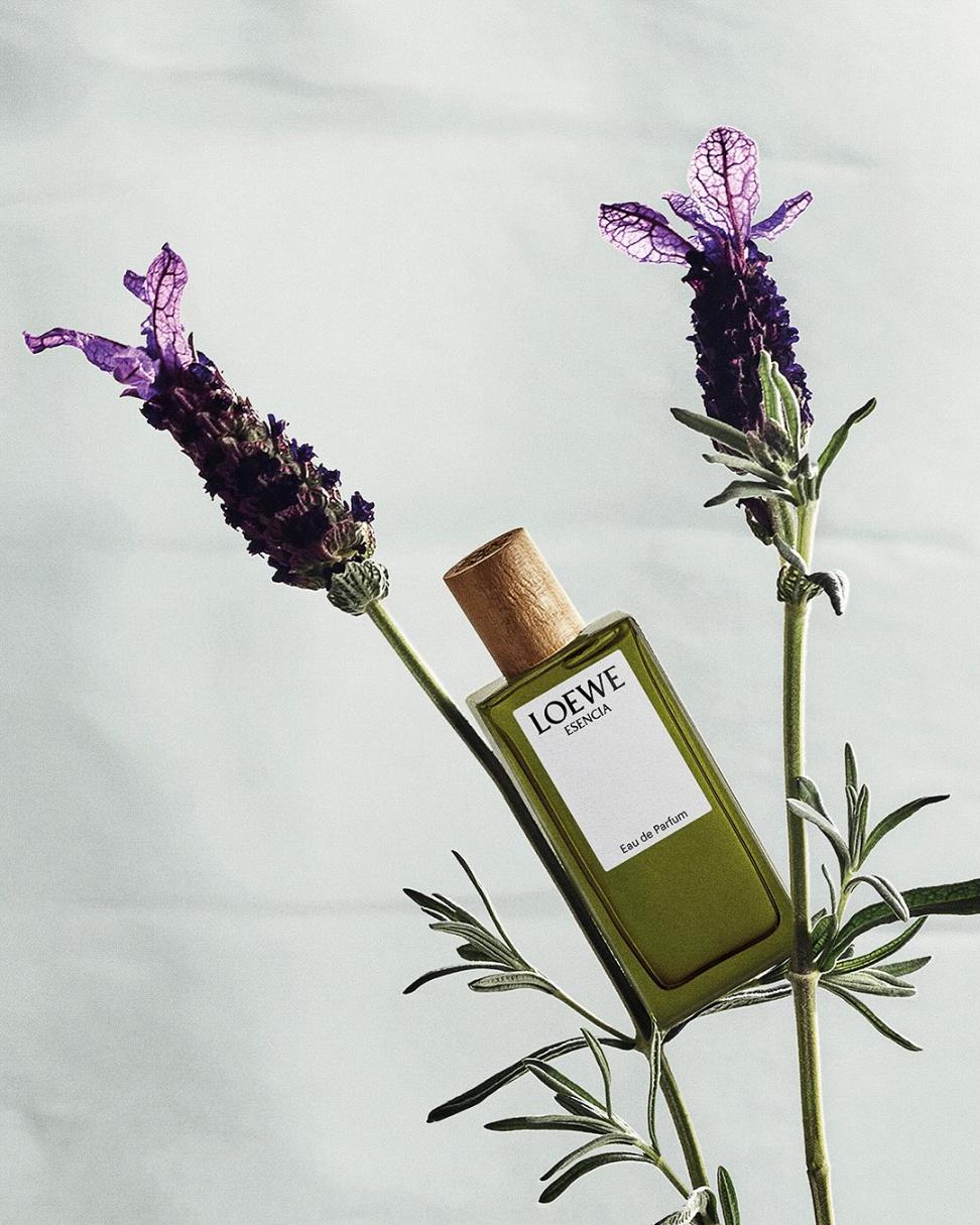 Khám Phá Những Mùi Hương Lý Tưởng Cho Mùa Hè Cùng LOEWE 5 4 Khám Phá Những Mùi Hương Lý Tưởng Cho Mùa Hè Cùng LOEWE