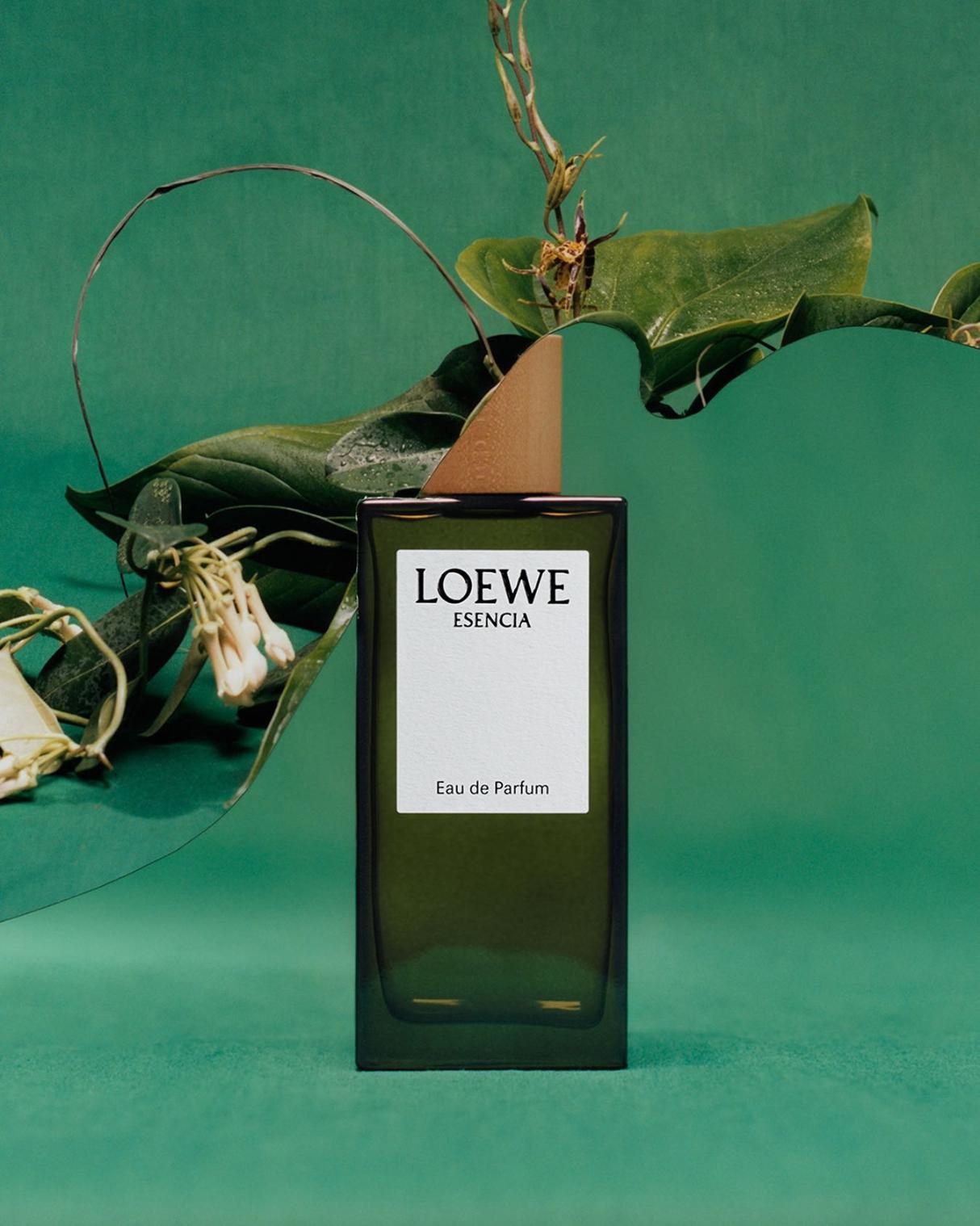 Khám Phá LOEWE Aire Anthesis: Vẻ Đẹp Nhẹ Nhàng Trong Mỗi Lớp Hương 5 5 Khám Phá LOEWE Aire Anthesis: Vẻ Đẹp Nhẹ Nhàng Trong Mỗi Lớp Hương