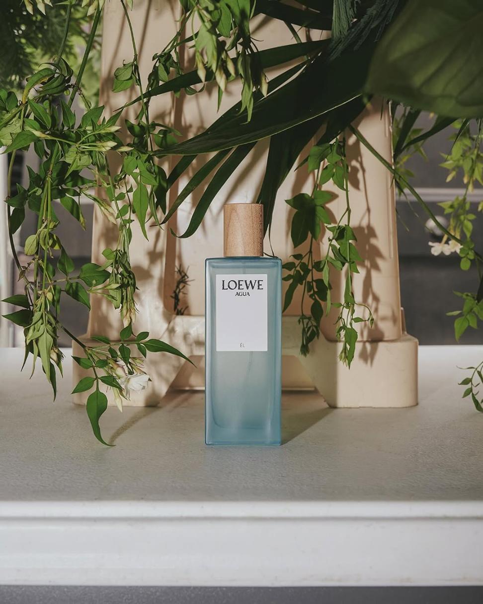 Khám Phá Thế Giới Nước Hoa Đẳng Cấp Từ LOEWE 6 1 Khám Phá Thế Giới Nước Hoa Đẳng Cấp Từ LOEWE