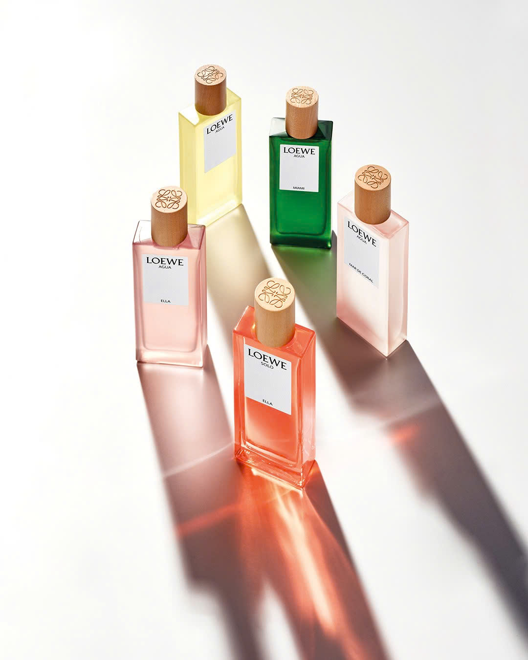 7 LOEWE Botanical Rainbow: Dải Hương Sắc Gợi Nhớ Một Cuộc Dạo Chơi Giữa Thiên Nhiên 