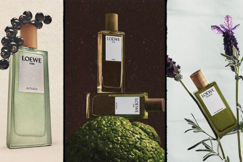 ảnh cover 1 Khám Phá Những Mùi Hương Lý Tưởng Cho Mùa Hè Cùng LOEWE  