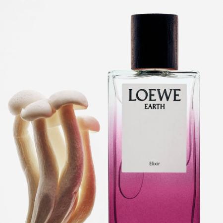 3.5 Tinh Túy Tây Ban Nha Trong Từng Làn Hương LOEWE 