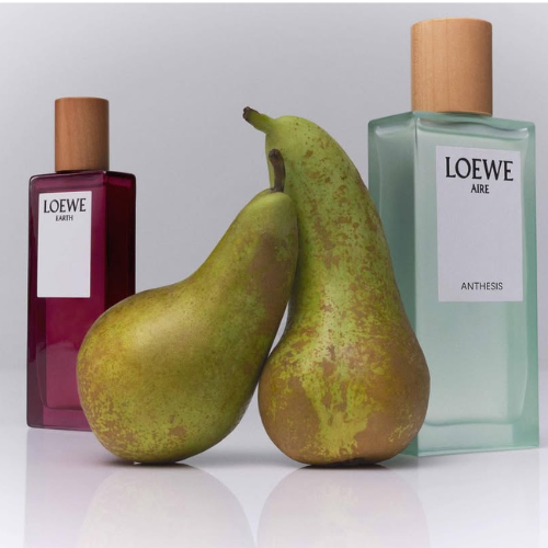 6 LOEWE Aire Anthesis – Hơi thở tinh khiết, tinh thần tự do 