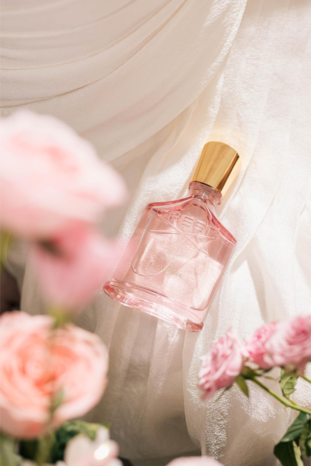 Creed Eladaria và Chloe Nguyễn 5 Creed Eladaria và Chloe Nguyễn: Bản giao hưởng của hương thơm và khí chất