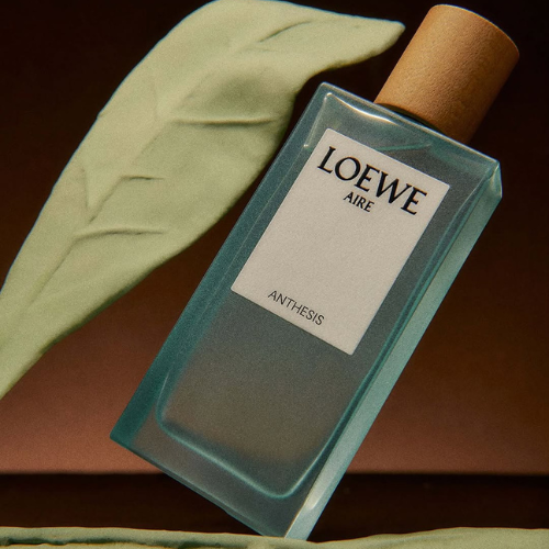 LOEWE 2 2 Quà tặng tinh tế từ LOEWE dành cho Ngày Phụ Nữ Việt Nam
