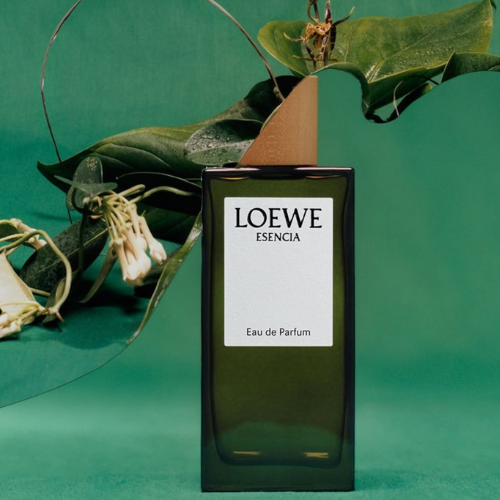LOEWE 2 LOEWE – Chân dung nội tâm được vẽ bằng hương sắc 