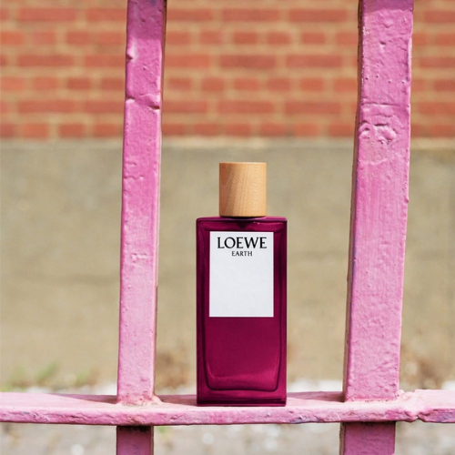 LOEWE 5 LOEWE – Chân dung nội tâm được vẽ bằng hương sắc 