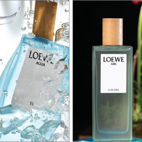 LOEWE 6 1 LOEWE – Nghệ thuật mùi hương từ trái tim Tây Ban Nha 
