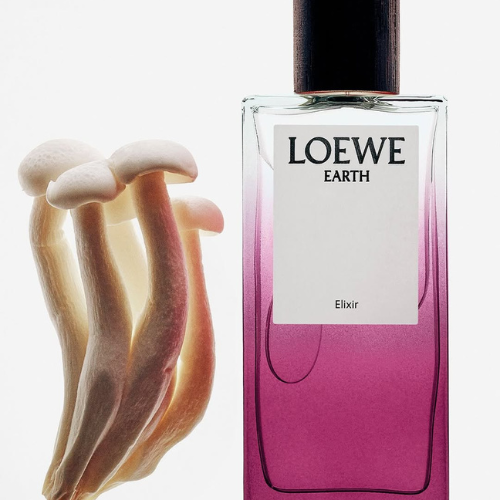 LOEWE 6 LOEWE – Chân dung nội tâm được vẽ bằng hương sắc 