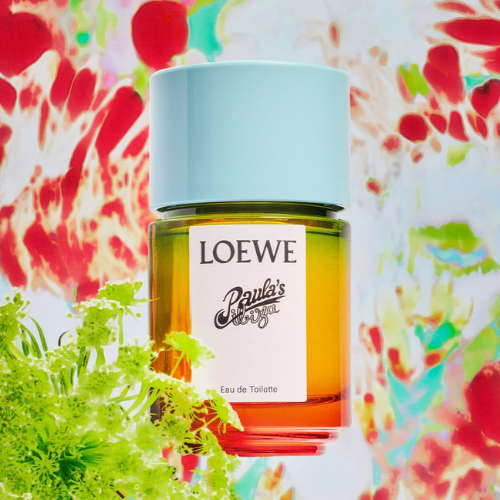 LOEWE Perfumes 3 LOEWE và nghệ thuật kể chuyện bằng hương