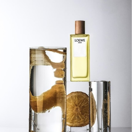 nước hoa chính hãng 4 Mùi hương của những ký ức dịu dàng cùng LOEWE 