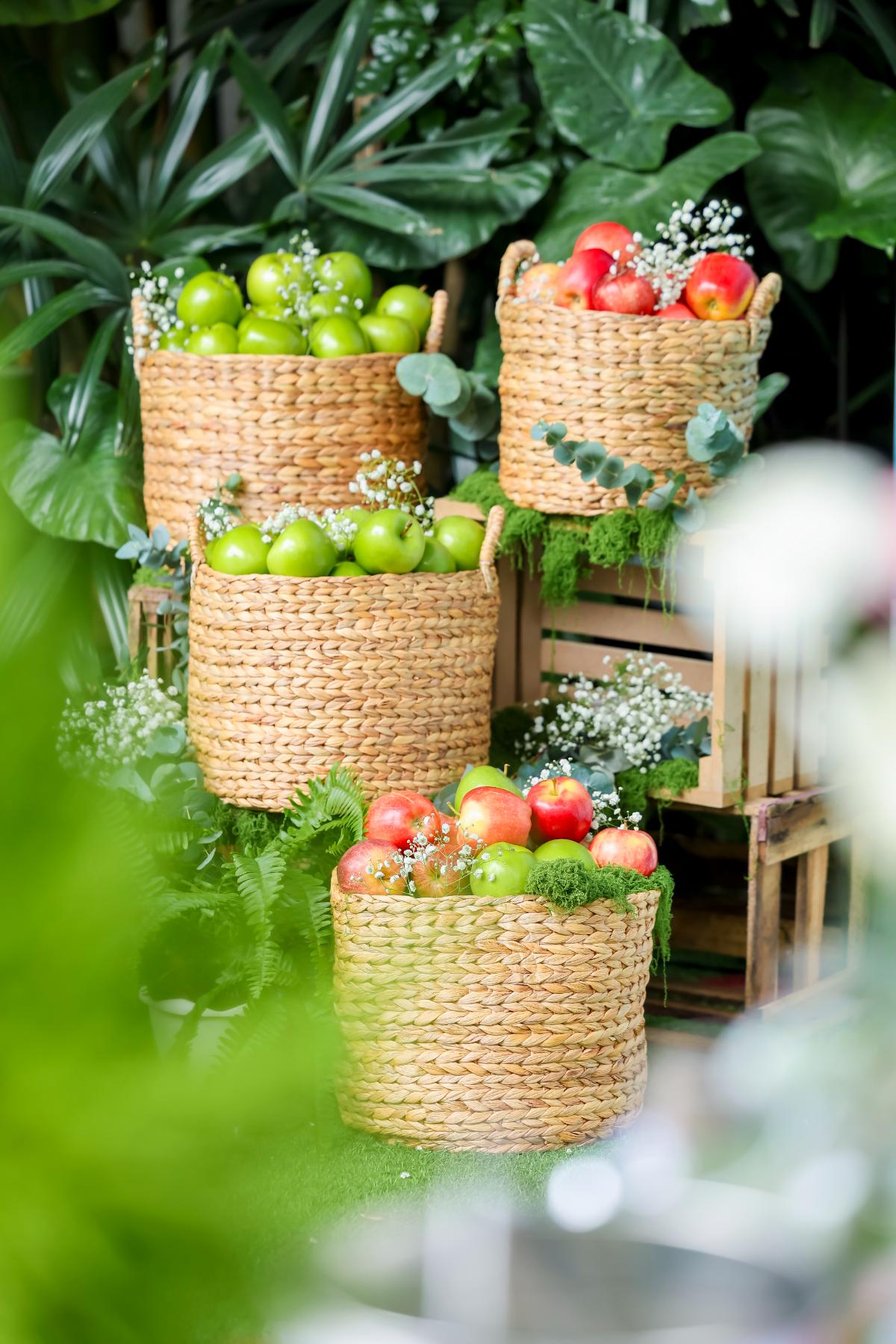 Từ vườn táo châu Âu đến Việt Nam — Hương vị vượt thời gian của táo Pháp táo Pháp 1 Từ vườn táo châu Âu đến Việt Nam — Hương vị vượt thời gian của táo Pháp