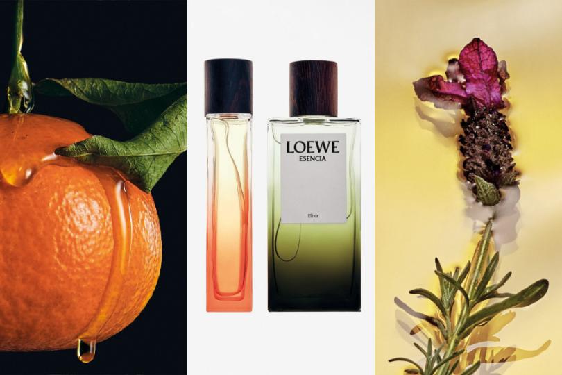 Tinh hoa cô đọng LOEWE Elixir toả hương đầu năm mới 2026 1 Tinh hoa cô đọng LOEWE Elixir toả hương đầu năm mới 2026