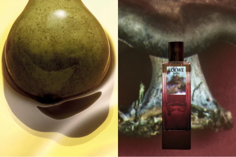 Tinh hoa cô đọng LOEWE Elixir toả hương đầu năm mới 2026 2 Tinh hoa cô đọng LOEWE Elixir toả hương đầu năm mới 2026