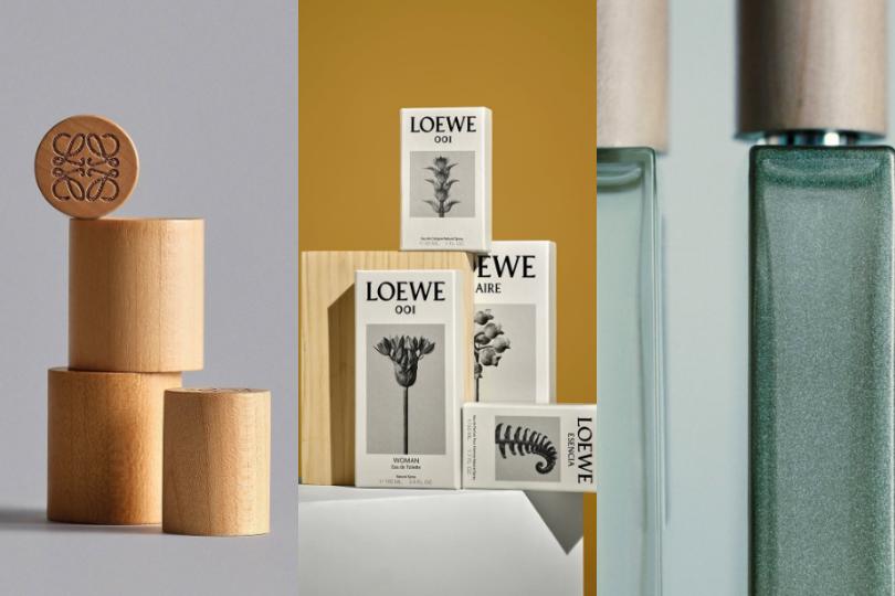 1 LOEWE Botanical Rainbow: Món Quà 8/3 Đánh Thức Mọi Giác Quan!