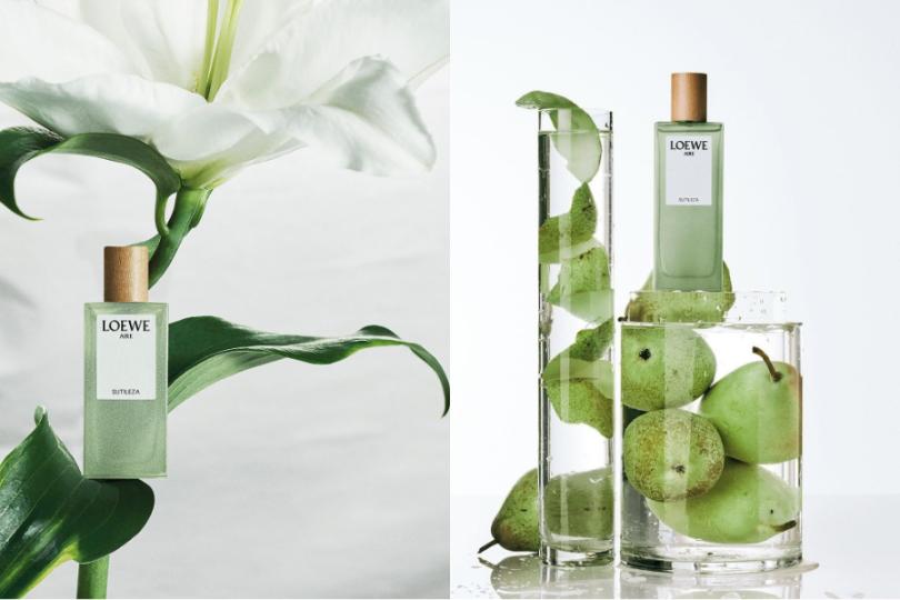 2 4 LOEWE Aire Sutileza: Khi sự tinh khiết trở thành dấu ấn