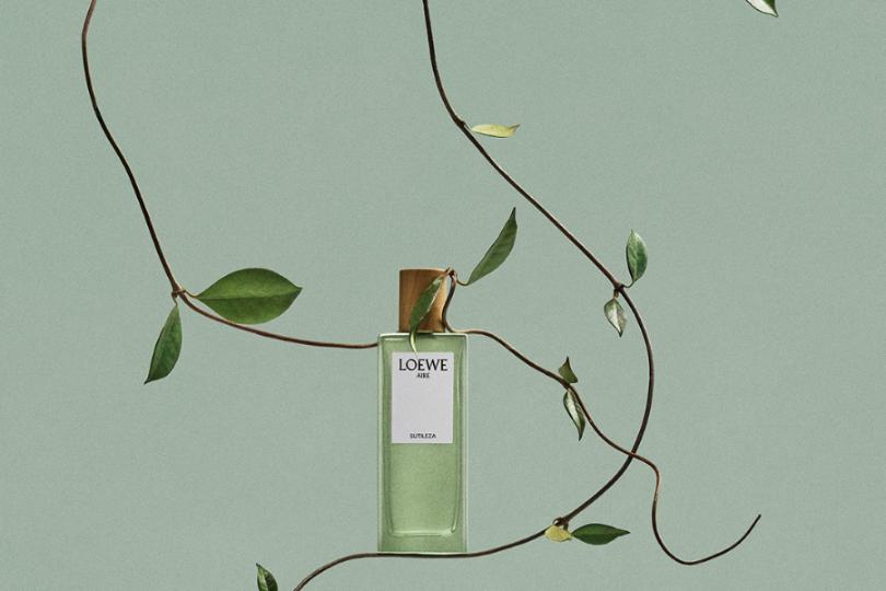 1 1 LOEWE: Những Nốt Hương Tươi Mát Làm Dịu Đi Cái Nắng Mùa Hạ