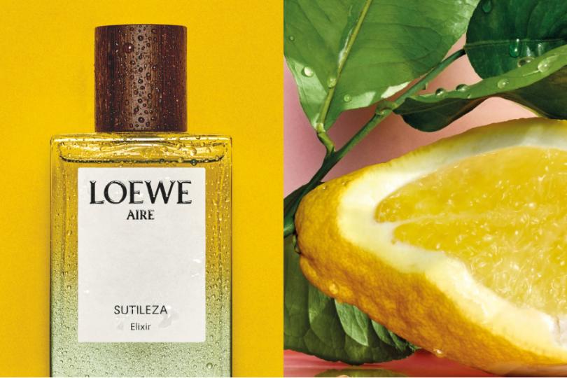 2 4 LOEWE Perfumes trình làng siêu phẩm mùa hè: Aire Sutileza Elixir