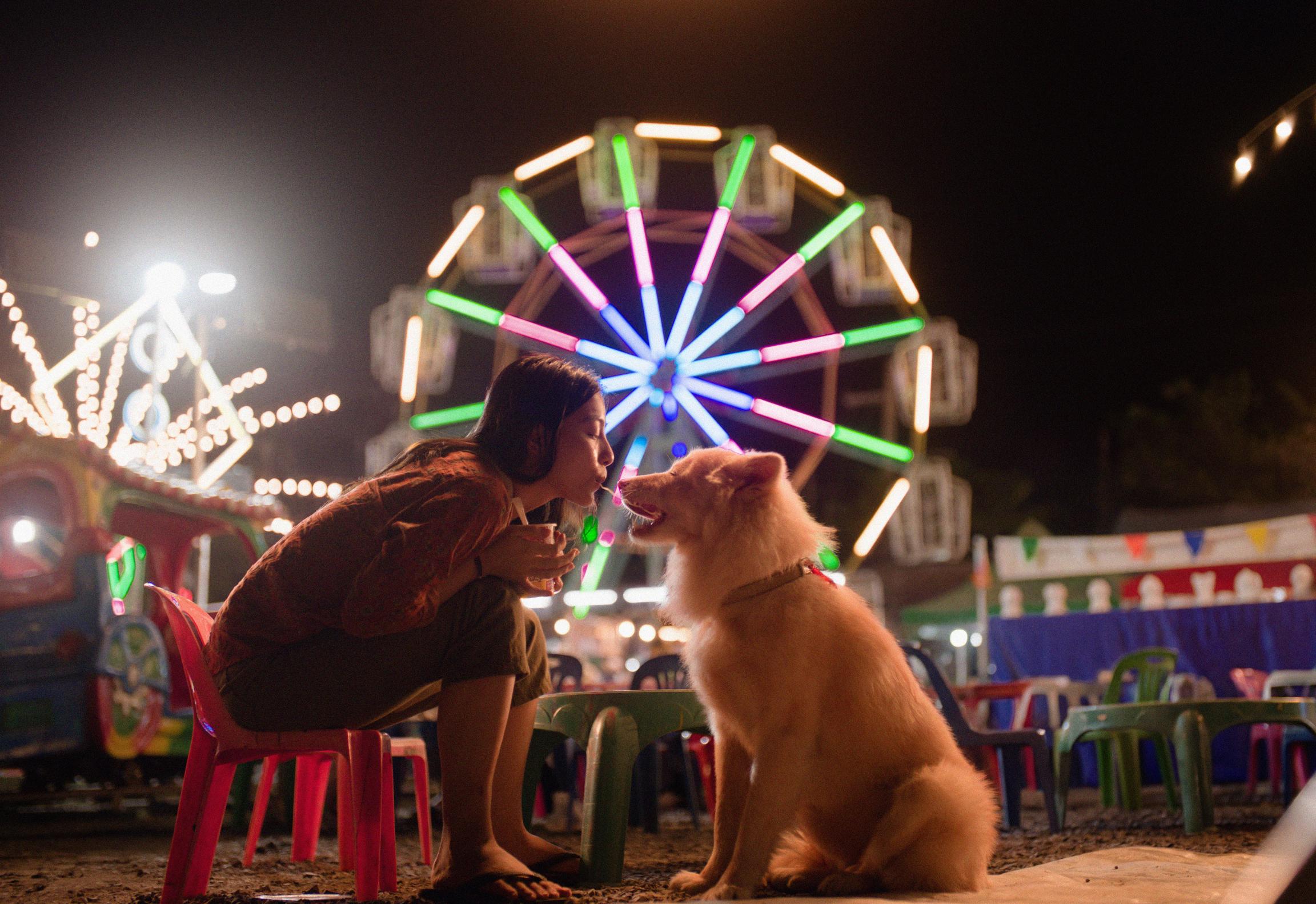 Tạm Biệt Gohan 1 Tạm Biệt Gohan bội thu nước mắt người xem về cuộc đời của một chú chó bị bỏ rơi