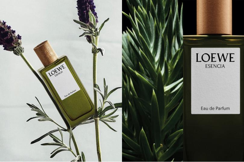 LOEWE Perfumes: Những “Sắc Xanh” Dành Riêng Cho Người Cha Hiện Đại 3 LOEWE Perfumes: Những “Sắc Xanh” Dành Riêng Cho Người Cha Hiện Đại