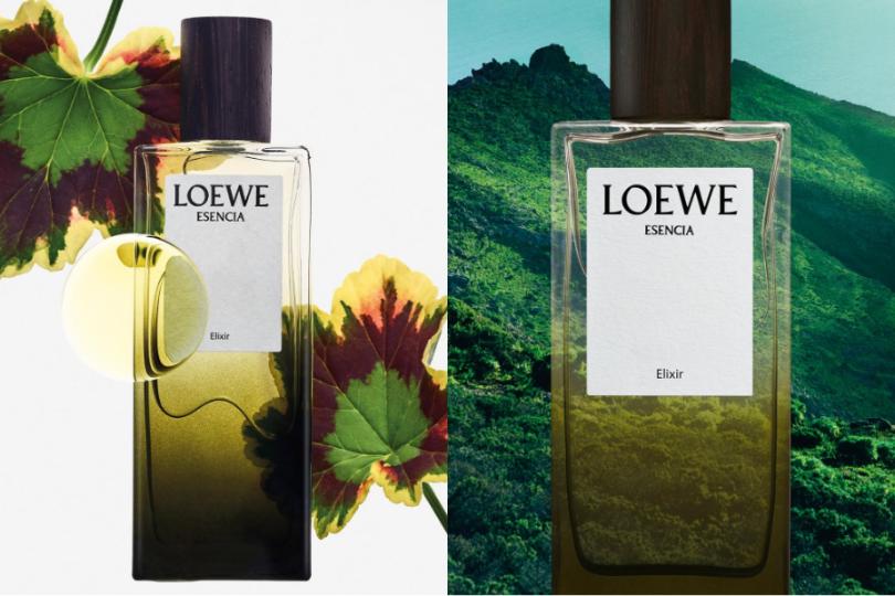 LOEWE Perfumes: Những “Sắc Xanh” Dành Riêng Cho Người Cha Hiện Đại 4 LOEWE Perfumes: Những “Sắc Xanh” Dành Riêng Cho Người Cha Hiện Đại