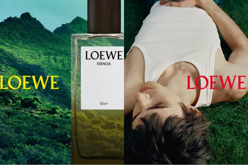 Thumbnail LOEWE Perfumes: Những “Sắc Xanh” Dành Riêng Cho Người Cha Hiện Đại