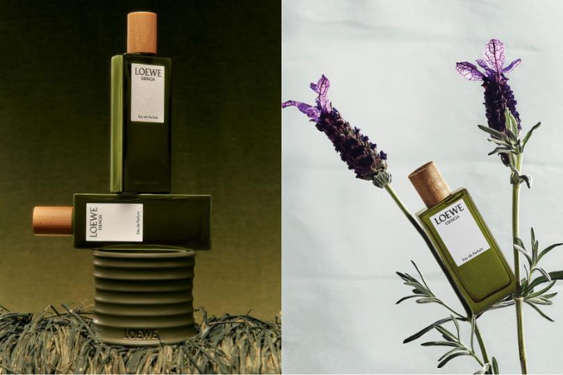 3 LOEWE Esencia   Ba phiên bản, một bản sắc nam tính vượt thời gian