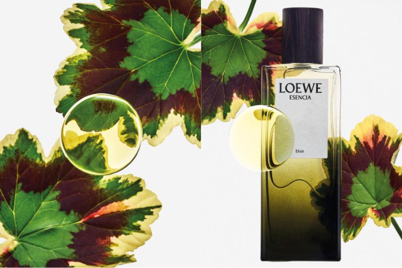 4 LOEWE Esencia   Ba phiên bản, một bản sắc nam tính vượt thời gian