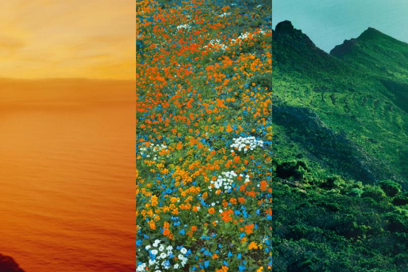 1 Top 3 mùi hương Elixir đình đám trong bộ sưu tập Landscape của LOEWE
