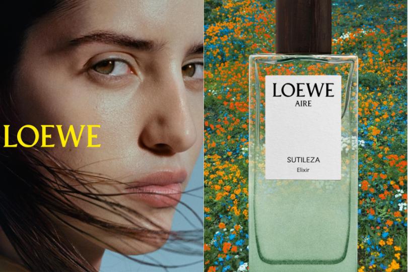 2 Top 3 mùi hương Elixir đình đám trong bộ sưu tập Landscape của LOEWE