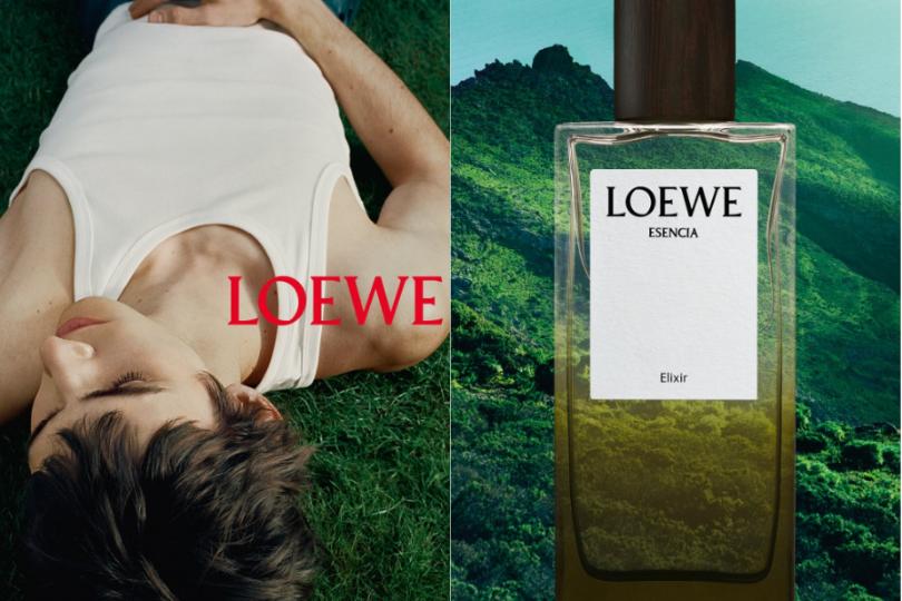 4 Top 3 mùi hương Elixir đình đám trong bộ sưu tập Landscape của LOEWE
